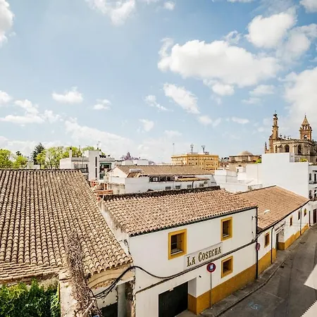 Holiday home Spacious House In Santiago - Between Wines And Flamenco *